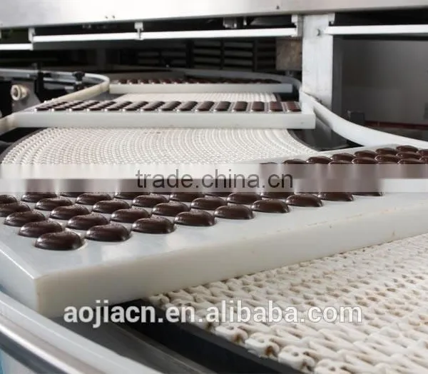 Buban for Reference ISO Manufacturer Plastic Modular Conveyor Belt photo-5
