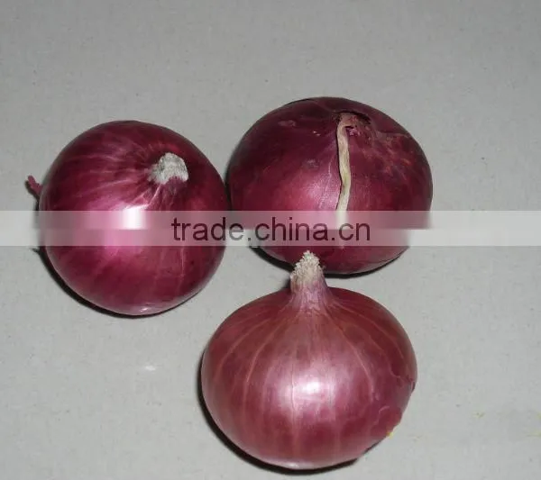 Fresh Red Onion photo-3