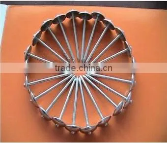 Galvanised/zinc Plated Umbrella Roofing Nails With Rubber Washer photo-2