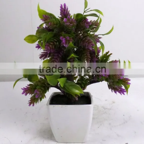 High Quality Low Cost Artificial Podocarpus Bonsai Tree for Table Decoration photo-5