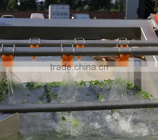 Good Quality High Pressure Vegetable Washing Machine photo-2