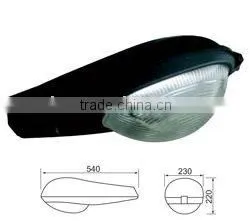 YQZD119 Street Light Fitting