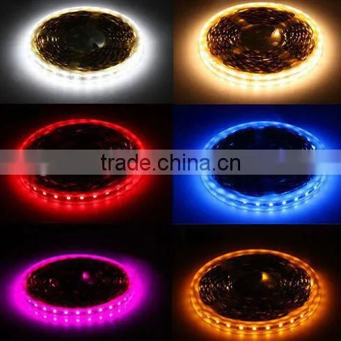 Cheapest IP20 IP65 Waterproof IP68 SMD 3014 Strip Led Lights photo-6