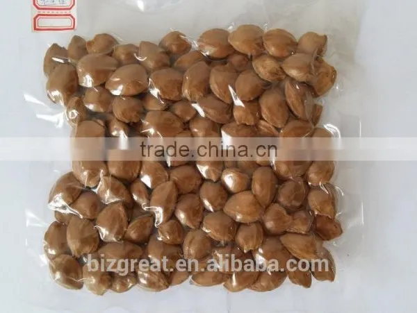 Supply With Chinese Bulk Spicy Flavored Roasted Apricot Kernels in Shell photo-6