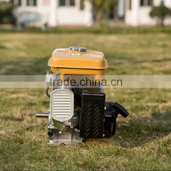 Factory Direct Sale High Quality Same As Robin EY20 5.5HP Gasoline Engine photo-6