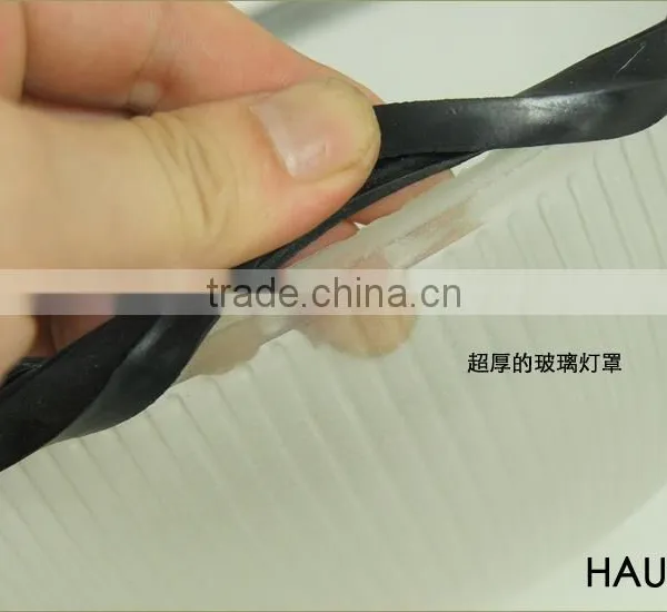 Modern Design Grid Fence Shaped Outdoor Ceiling Lighting (HS1106) photo-4