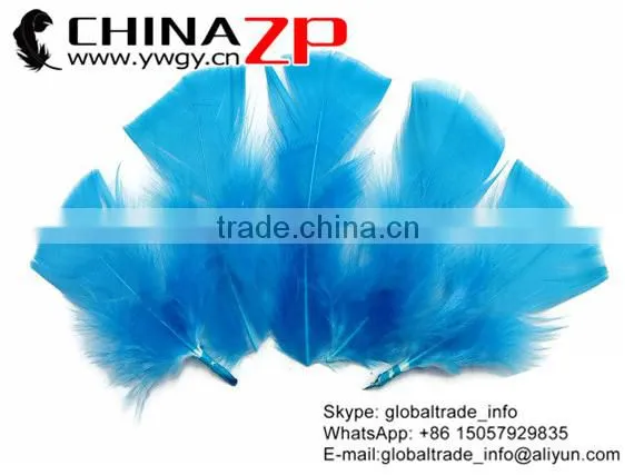 CHINAZP Factory Wholesale Dyed Turquoise Turkey T-Base Body Plumage Feathers for Decorations photo-2