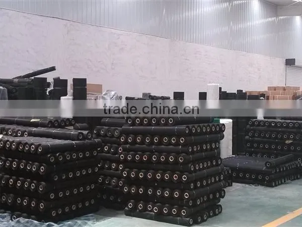 CNBM Garden Insect Mesh With High Quality /T photo-4
