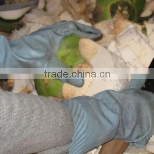 Fresh Young Coconut (Diamond/ Polish Shape) photo-2