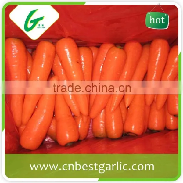 Organic Fresh Vegetable Fresh Carrot Exporter