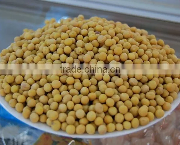 Organic Soybean With Nutritional Value Yellow Soy Beans photo-5