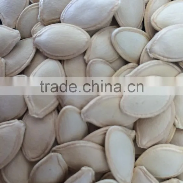 Shine Skin Pumkin Seeds 9-11mm With Good Price