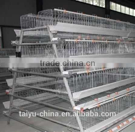 Poultry Farming Cages in Kenya photo-2