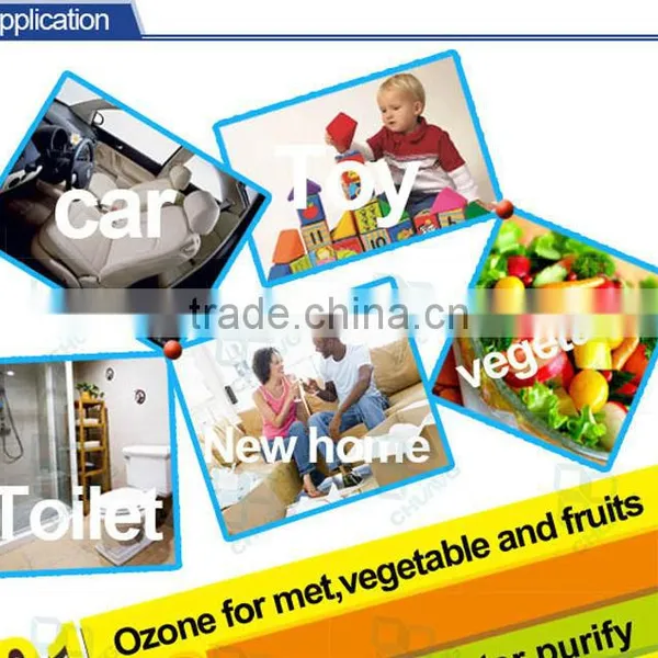 Wholesale 3g 5g 6g 7g 110V Household Use Ozone Generator photo-4