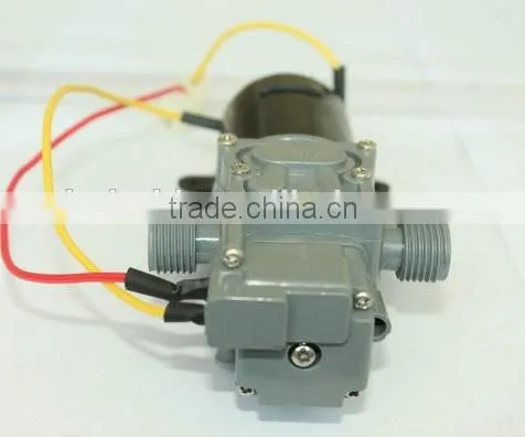 (Pump-06) 12v dc Sprayer Pump photo-5