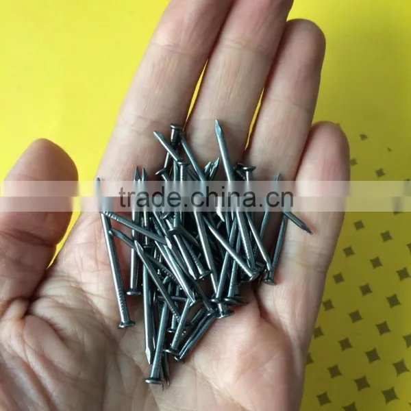 Best Price Common Nails/steel Nails Factory Price photo-6