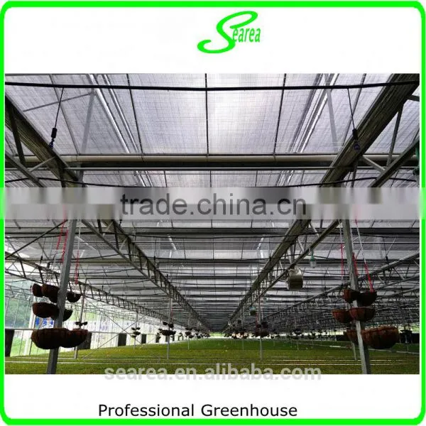 UV Protcetion Polycarbonate Sheet Greenhouse photo-4