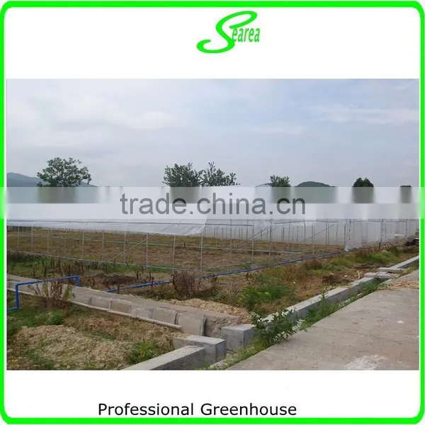 Hot Selling Commercial Used Greenhouse for Sale photo-3
