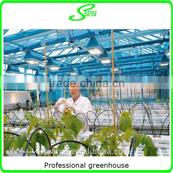 High-tech Greenhouses and Hydroponic Systems for Professional Growers photo-2
