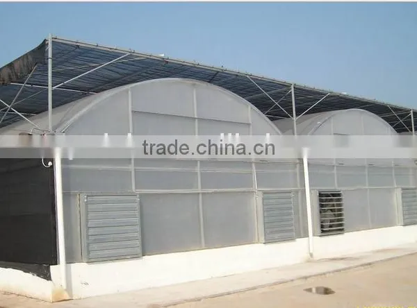 Tropic Greenhouse for Sale