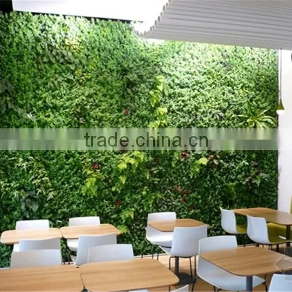 Indoor Green Wall Succulent Plant or Leafy Plant Combination With the Soft Foam Backing photo-2