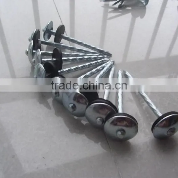 High Quality Roofing Nail From China Manufacturer photo-3