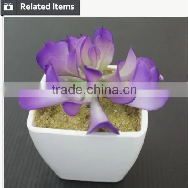 Hot Sale Artificial Potted Plants Chinese Succulent Plants photo-6