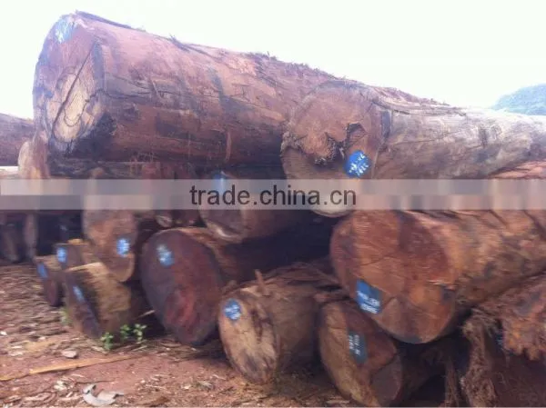 HOMALIUM CARYPHYLLACEUM BENTH LOGS FROM LAOS
