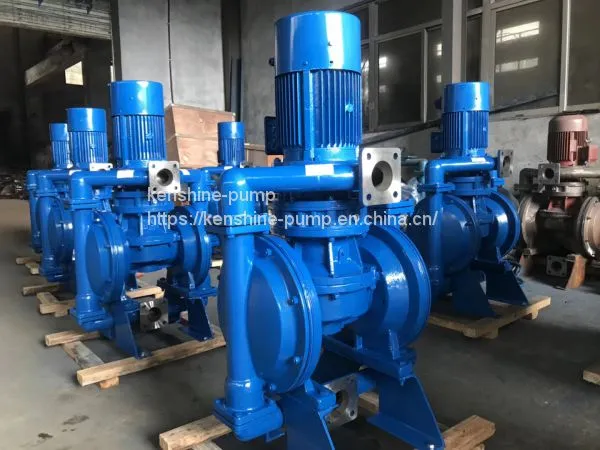 DP Mini Diaphragm Pump DC Diaphragm Pump photo-5