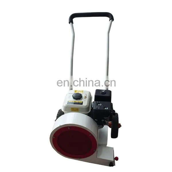 Small Concrete Road Blower Asphalt Filling Cleaning Machine photo-6