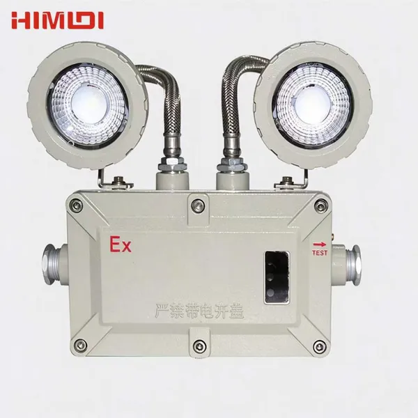 Flameproof Dual-head LED Emergency Luminaire IP66 Die-cast Aluminum 2×5W 120min Backup Light for Offshore & Chemical Plant