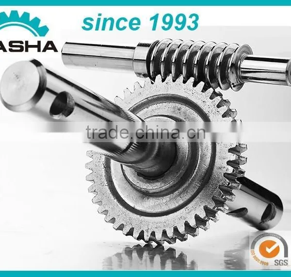 Customized Small Worm Gear and Rack