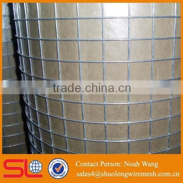 High Quality Galvanized Welded Wire Mesh photo-4