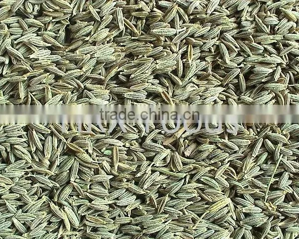 Admixture 1%max, 2010new Crops, Cumin Seed photo-6