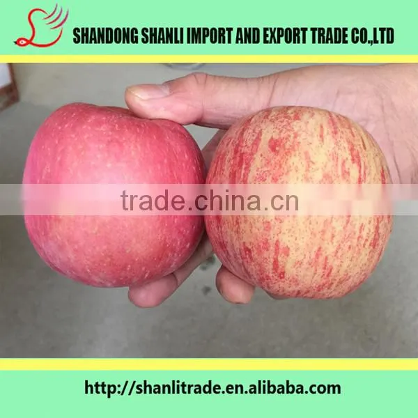 Red Delicious Apples ,delicious and Sweet photo-4
