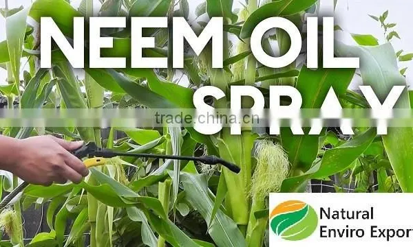 Cold Press Neem Oil photo-5