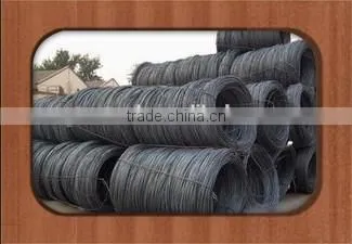 China Standard Hot Sale Steel Wire Rod Shareholders photo-5
