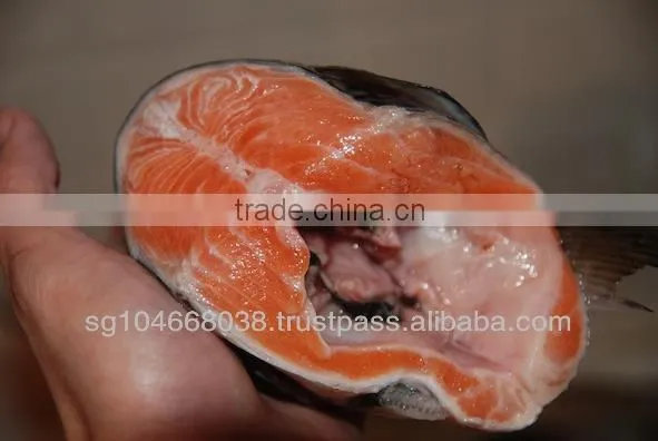 ATLANTIC SALMON HEADS photo-3