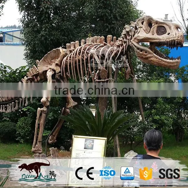 OA-DS-K16062401 High Quality Dinosaur Skeleton Model photo-6