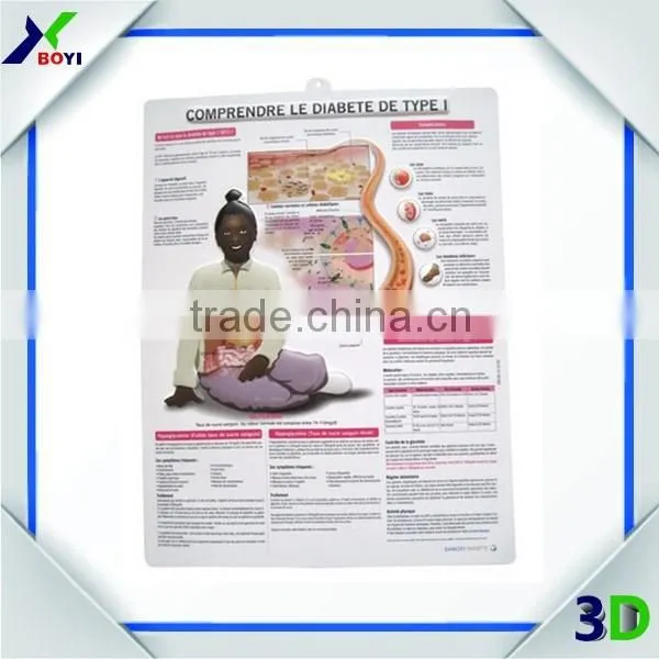 Hotsale Pharma Advertisement Educational 3d Anatomy Wall Chart Posters photo-5
