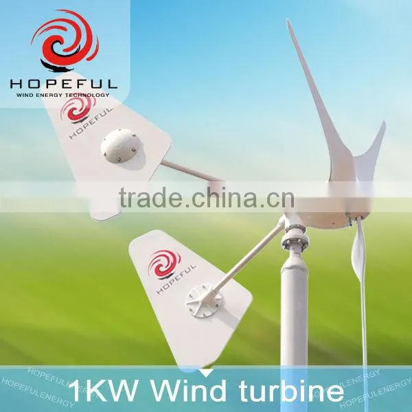 Hot Sale High Quality 1kw Wind Turbine System photo-4