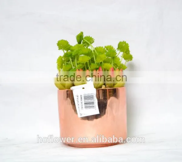 Artificial Succulent Plant for Home and Office Decoration