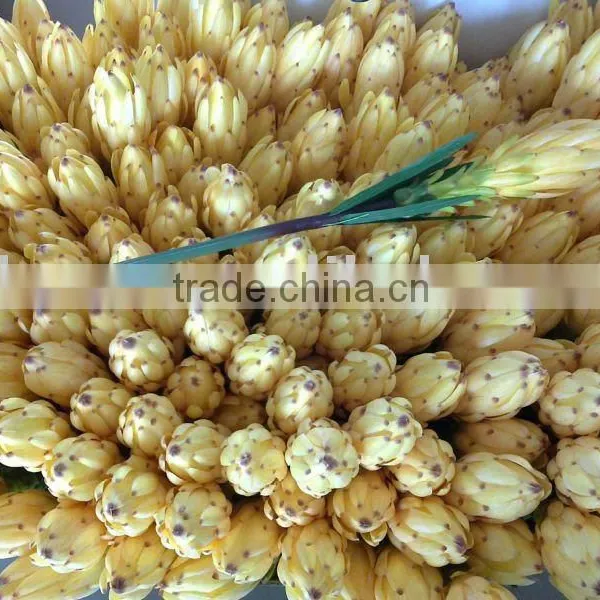 Artificial Tropical Plant Pongee