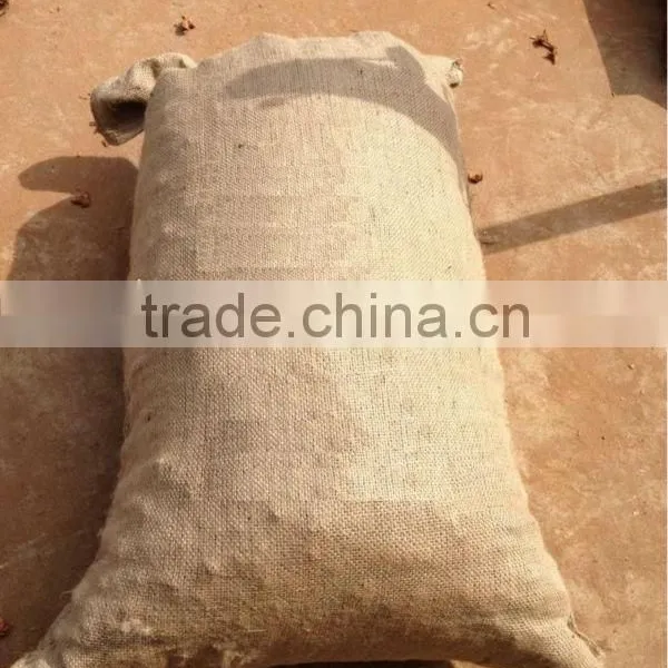 Galangal Root 766 photo-2
