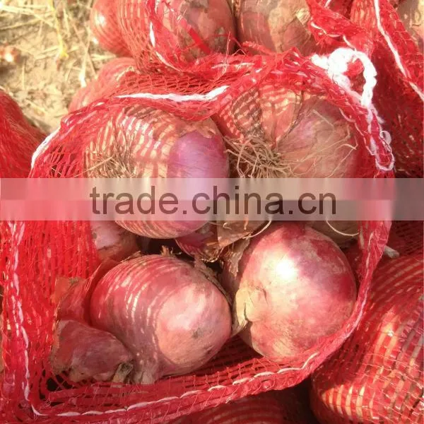 Fresh Red Onion and Yellow Onion With Wholesales Price photo-5