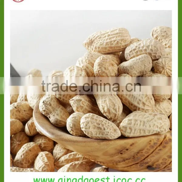 Shandong peanut wholesale peanuts ground peanut shells