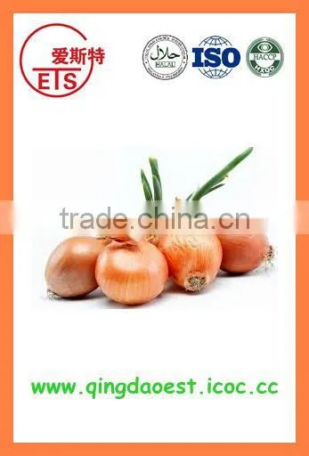 2016 BUlk MARKET PRICE Fresh Yellow Onion photo-4