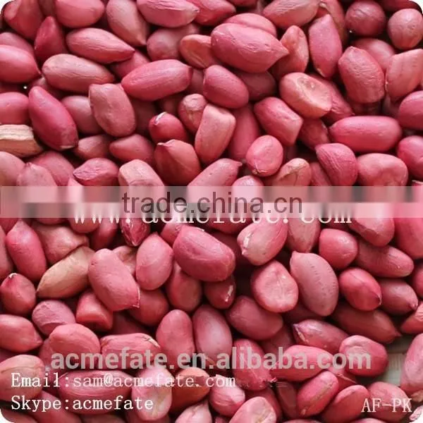 Chinese HACCP Certification Long Type Blanched Red Skin Peanut Kernels photo-6