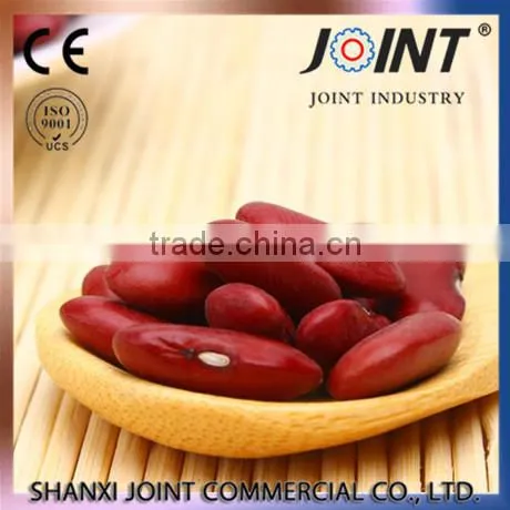 ECO- Friendly Organic England Dark Red Kidney Beans photo-2