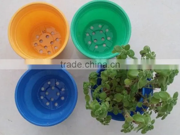 Blue Yellow Purple Plastic Plant Flower Pot photo-2